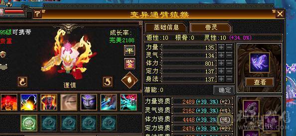 精品6级逍遥 防具全是6，极品装备，神兽马上4持续更新，盟会7级，细节拉满，自己看图。喜欢就买