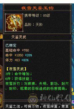 精品6级逍遥 防具全是6，极品装备，神兽马上4持续更新，盟会7级，细节拉满，自己看图。喜欢就买