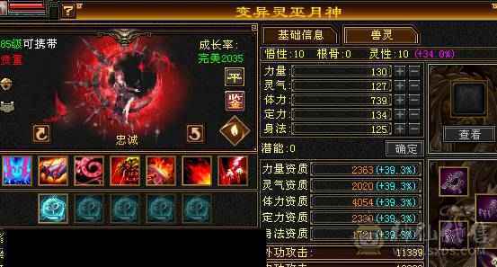 精品6级逍遥 防具全是6，极品装备，神兽马上4持续更新，盟会7级，细节拉满，自己看图。喜欢就买