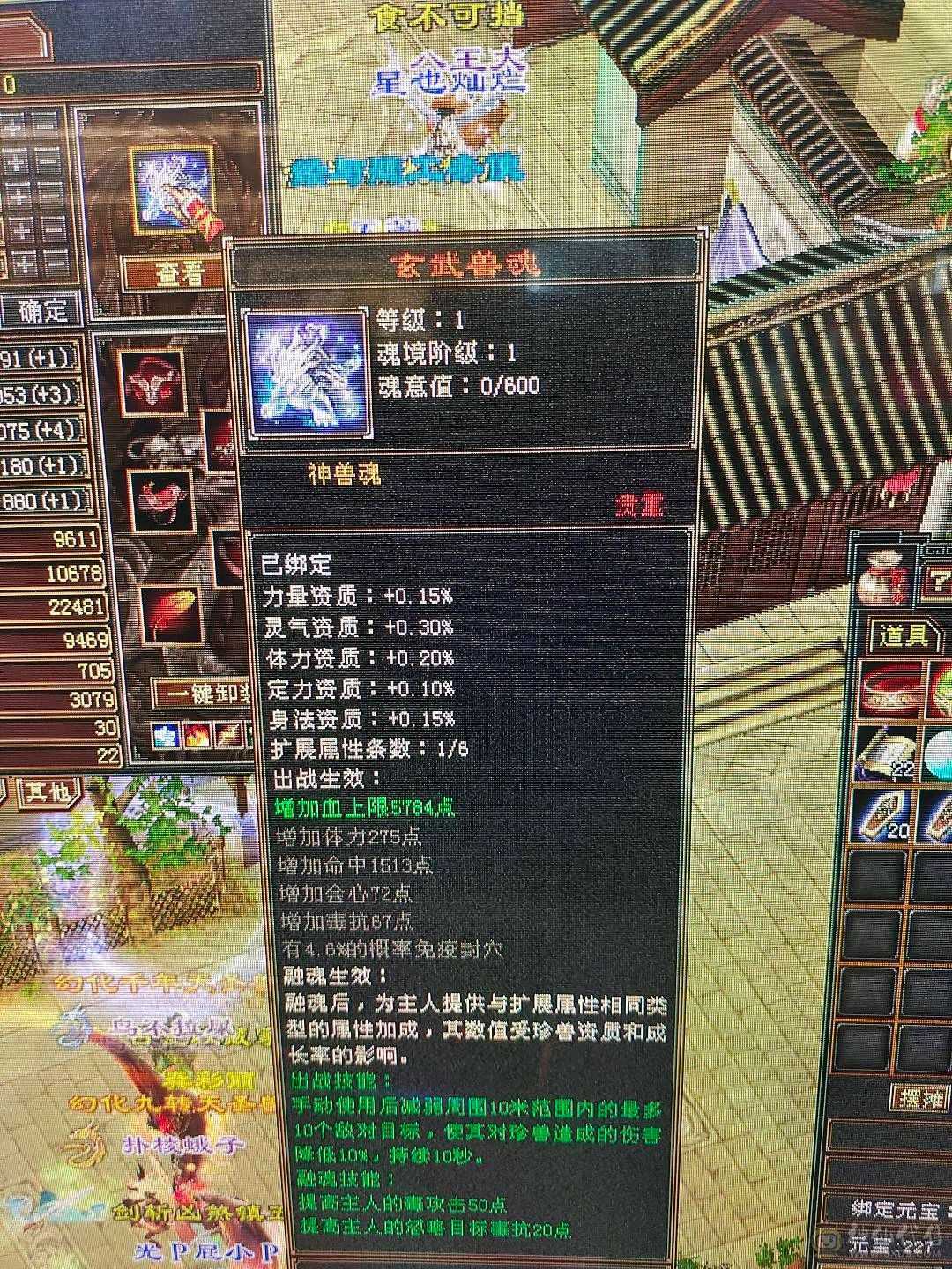 大完美武魂带6000多绑元
