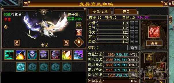 卡级明教裸面板，图是旧图
