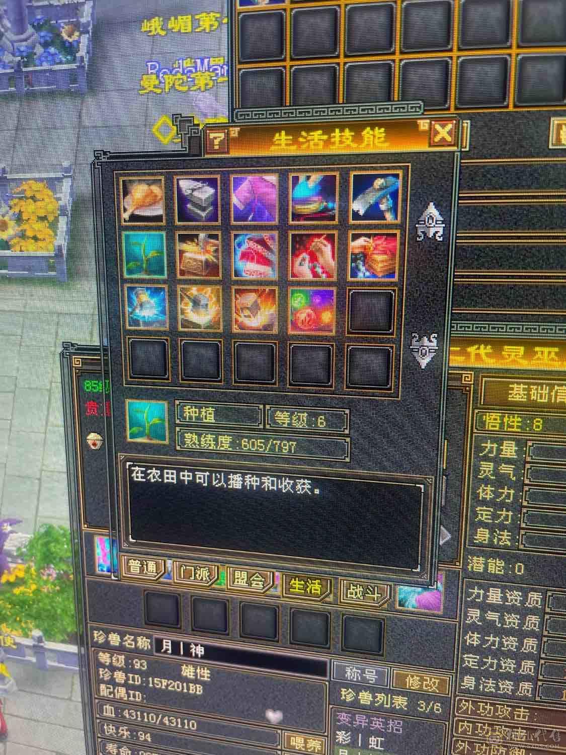 白嫖小峨眉