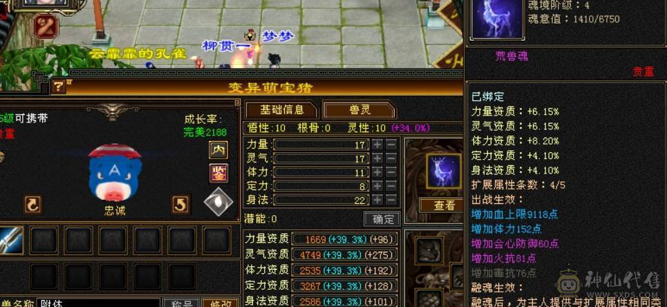快乐推荐——5体7雕带两双十，5级火毒抗！！！