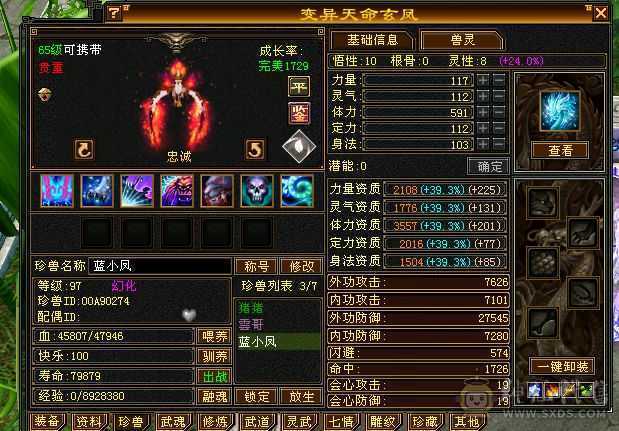 5级号，减抗满4级，幻视2个，兽魂已满，11万气武当