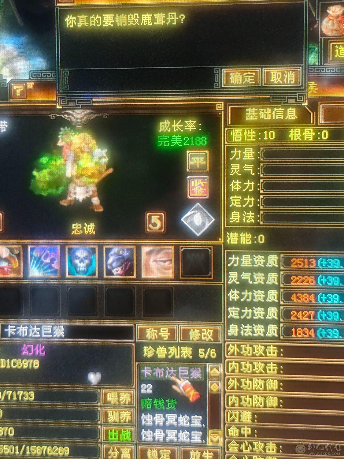 5属性4防随便白嫖都能上5千属