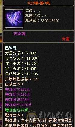 断桥少林55件时装各种幻视永久坐骑