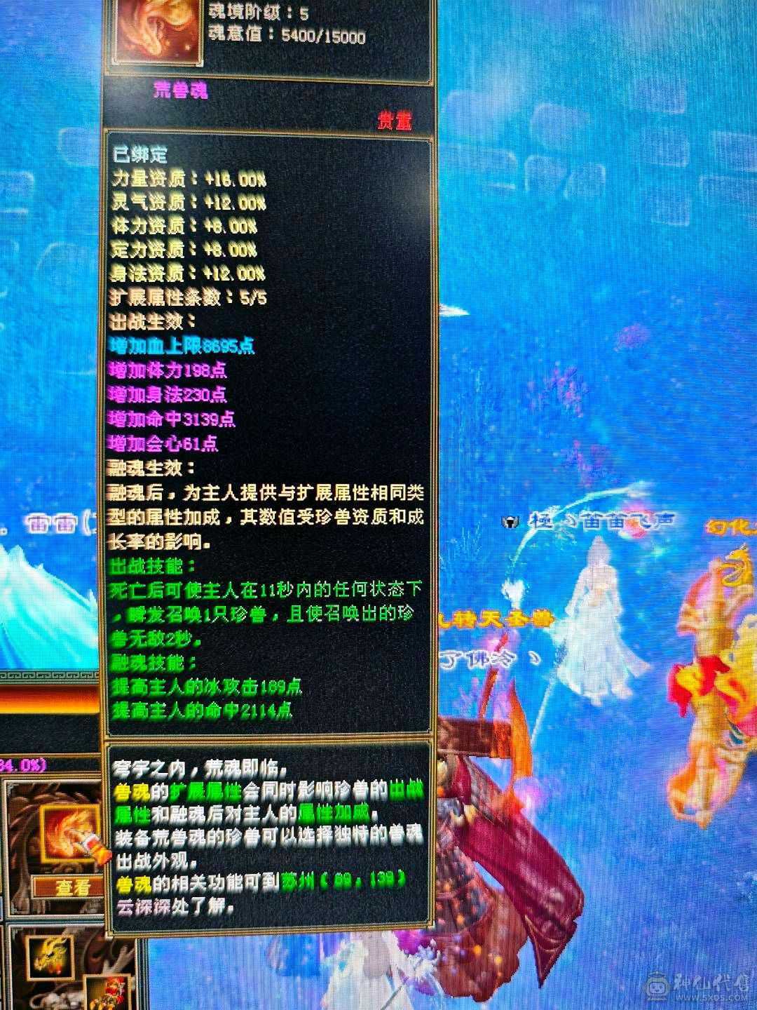 5减7调4新雕天山带个4技能万世魂带个改名卡