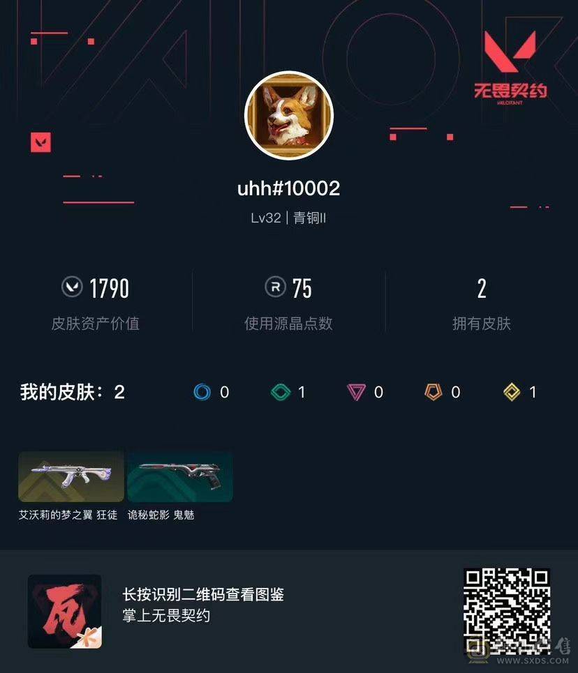 猫猫狂徒