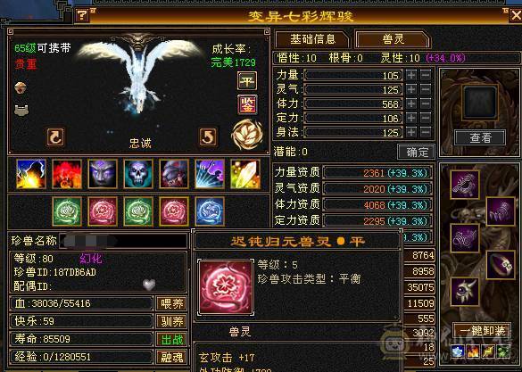 怀旧结束，出极品五级星宿