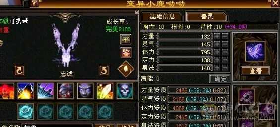 细节明教6体大半六属性裸面板60万血