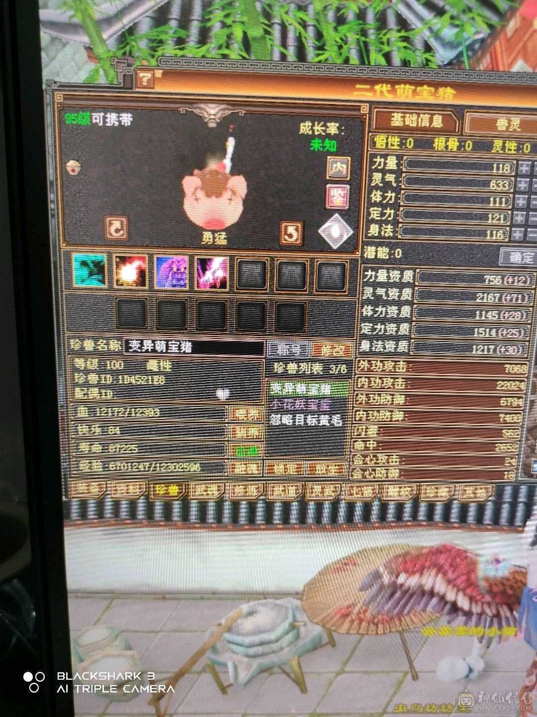 情怀职业，坐等技改。无状态19万血，上护体技能破二十万，五级体力四级属性，装备基本成型。上手即可白嫖。高级血祭，挂机宝宝都有，就灵武差点。大票也可刷。