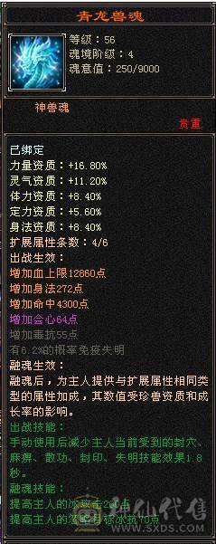 5带6四杂抗天山，有一套减抗05，6荒4神，神兽词条完美