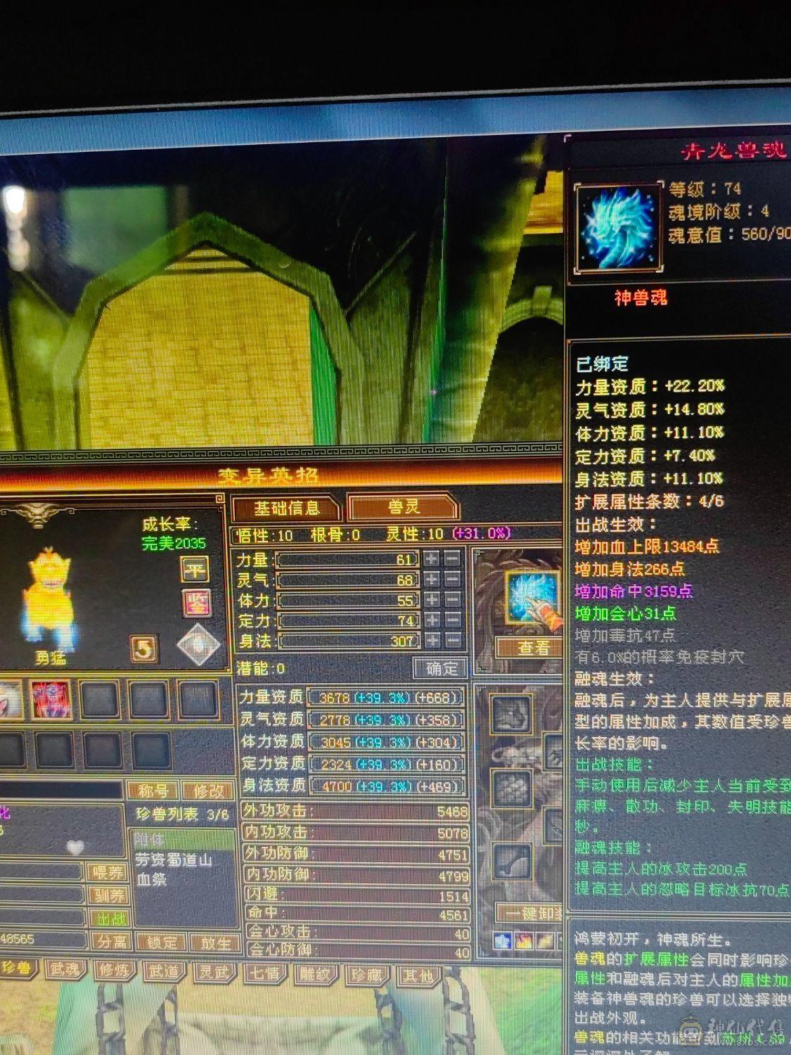 暴力身法5级天山
