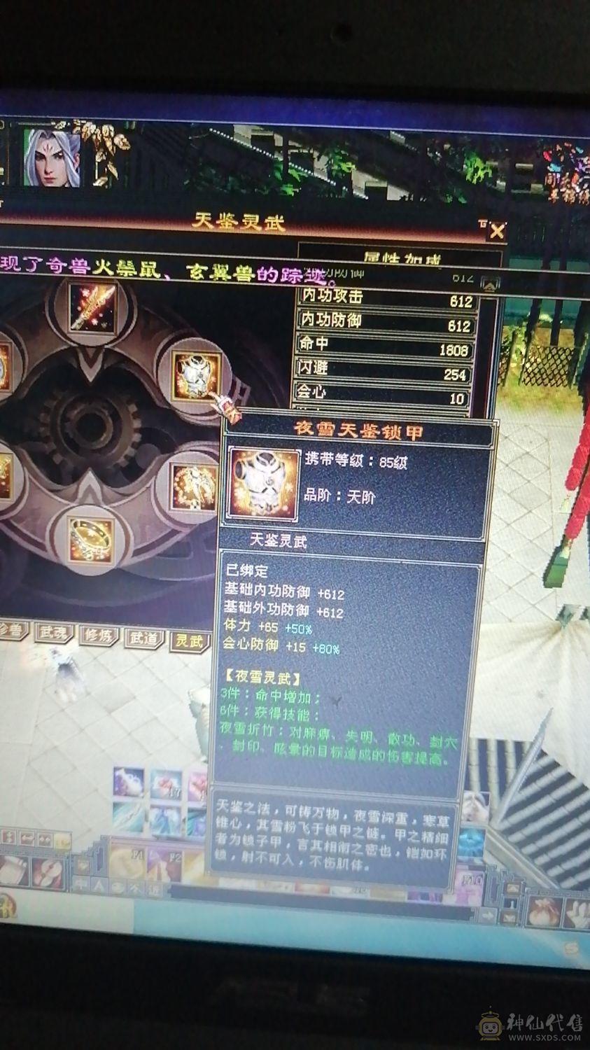极品四修，三抗，增伤拉满，细节自己慢慢研究外功八万，极品没缺点少林