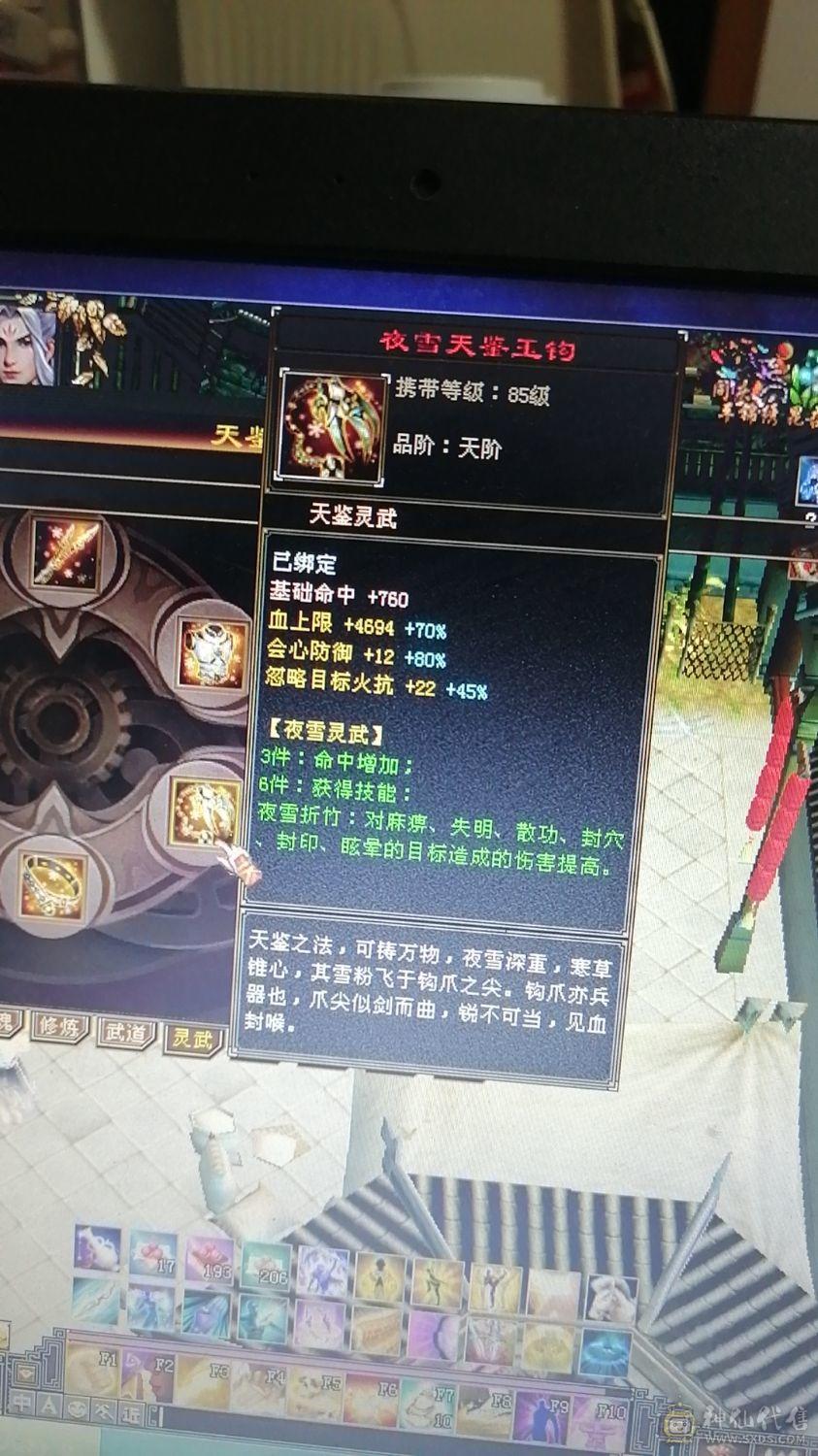 极品四修，三抗，增伤拉满，细节自己慢慢研究外功八万，极品没缺点少林