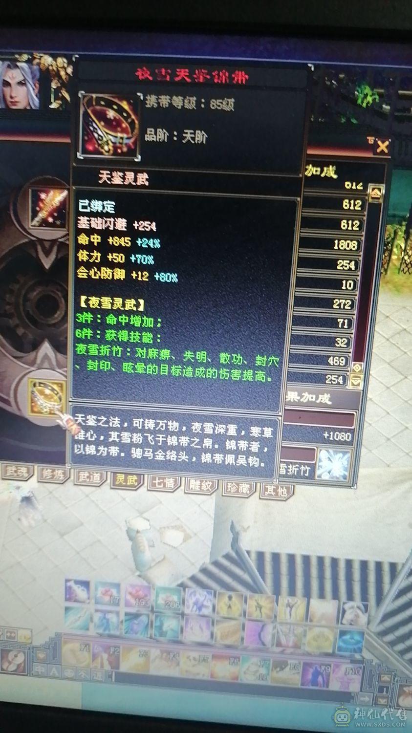 极品四修，三抗，增伤拉满，细节自己慢慢研究外功八万，极品没缺点少林