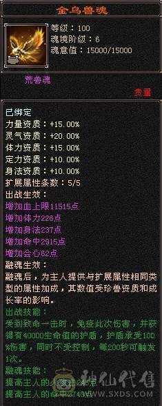 细节极限5级挂6逍遥