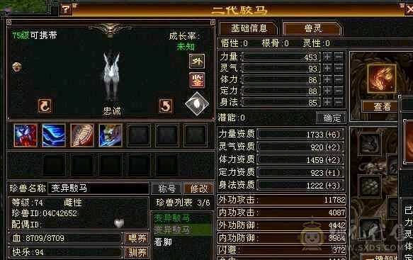 等级号出售