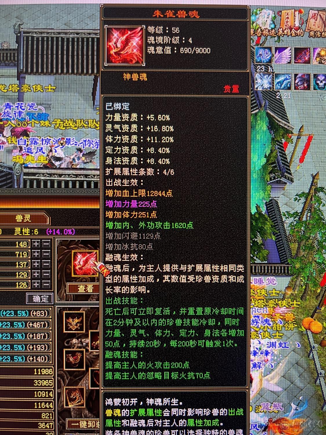 漂亮的逍遥姐姐