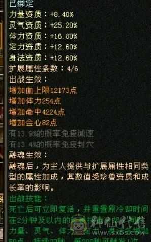 满五带六带八雕，完美四神