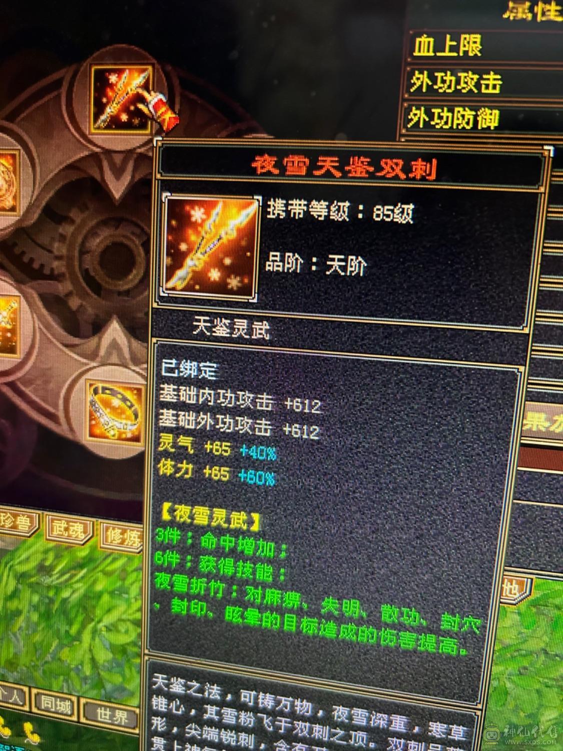 40多万血满级，盟会8级，五体七雕文，高资质宝宝！九尾，时装！