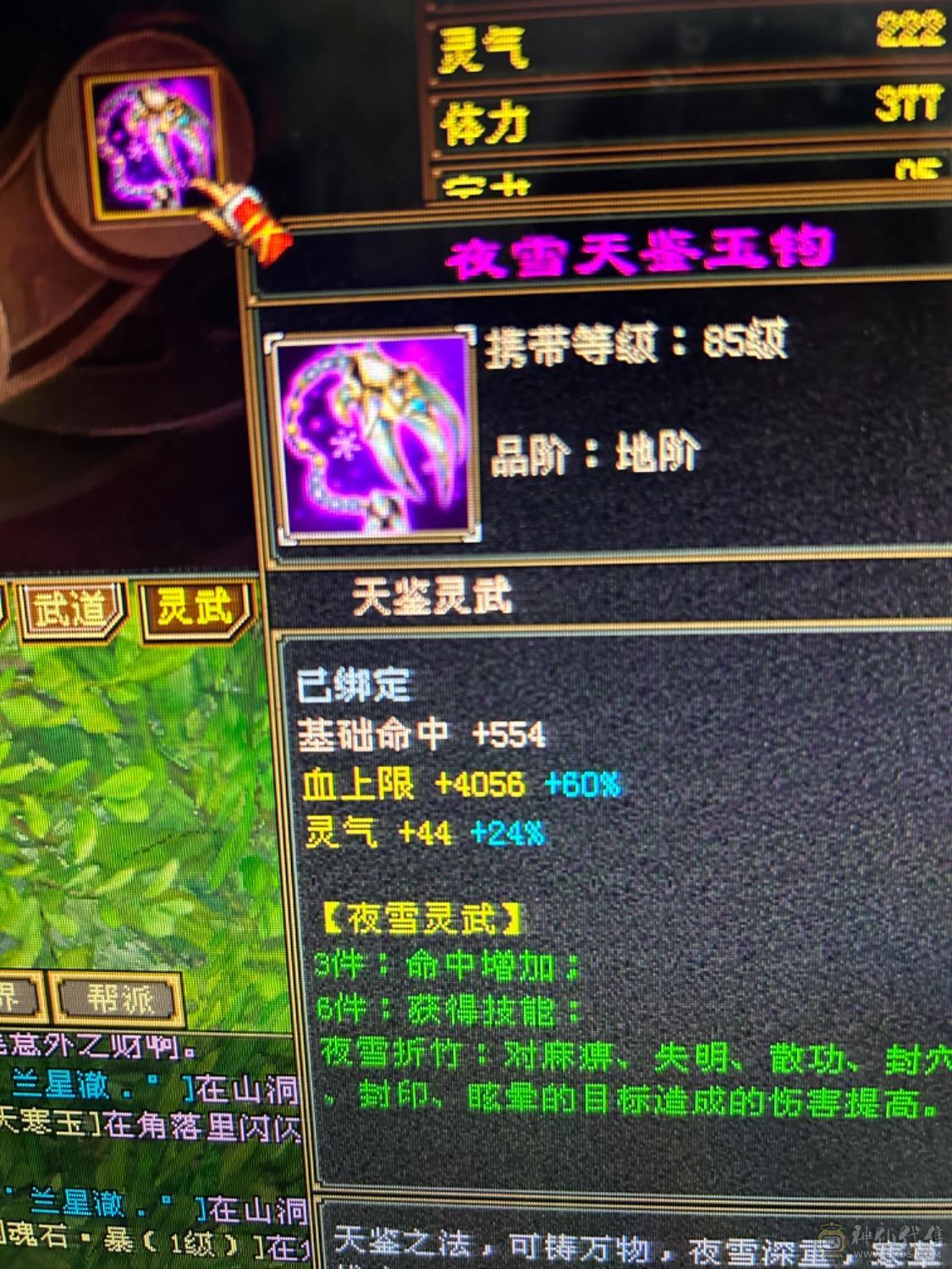40多万血满级，盟会8级，五体七雕文，高资质宝宝！九尾，时装！
