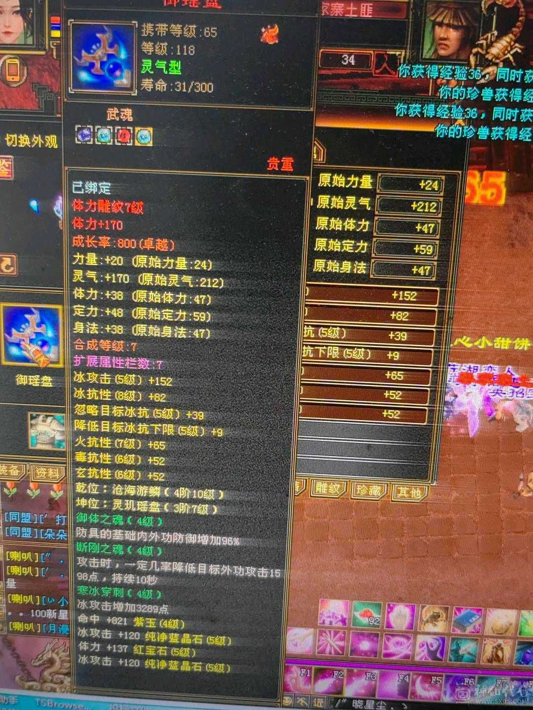 5体5属双抗峨眉