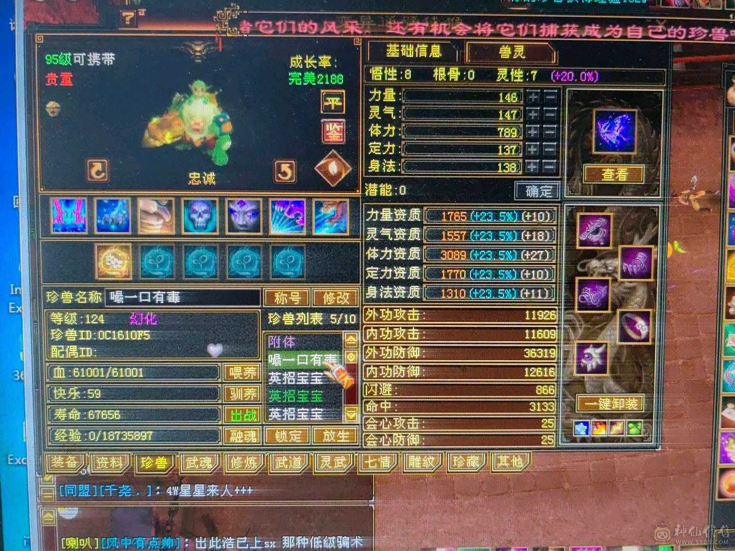 5体5属双抗峨眉