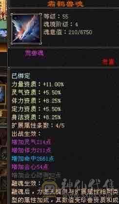一个账号两个角色，两个挖花号，挂机号