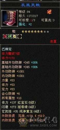 版本之子