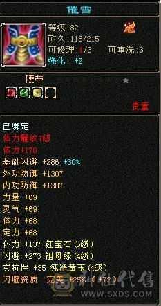 版本之子