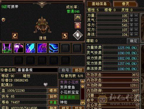什么副本都能打