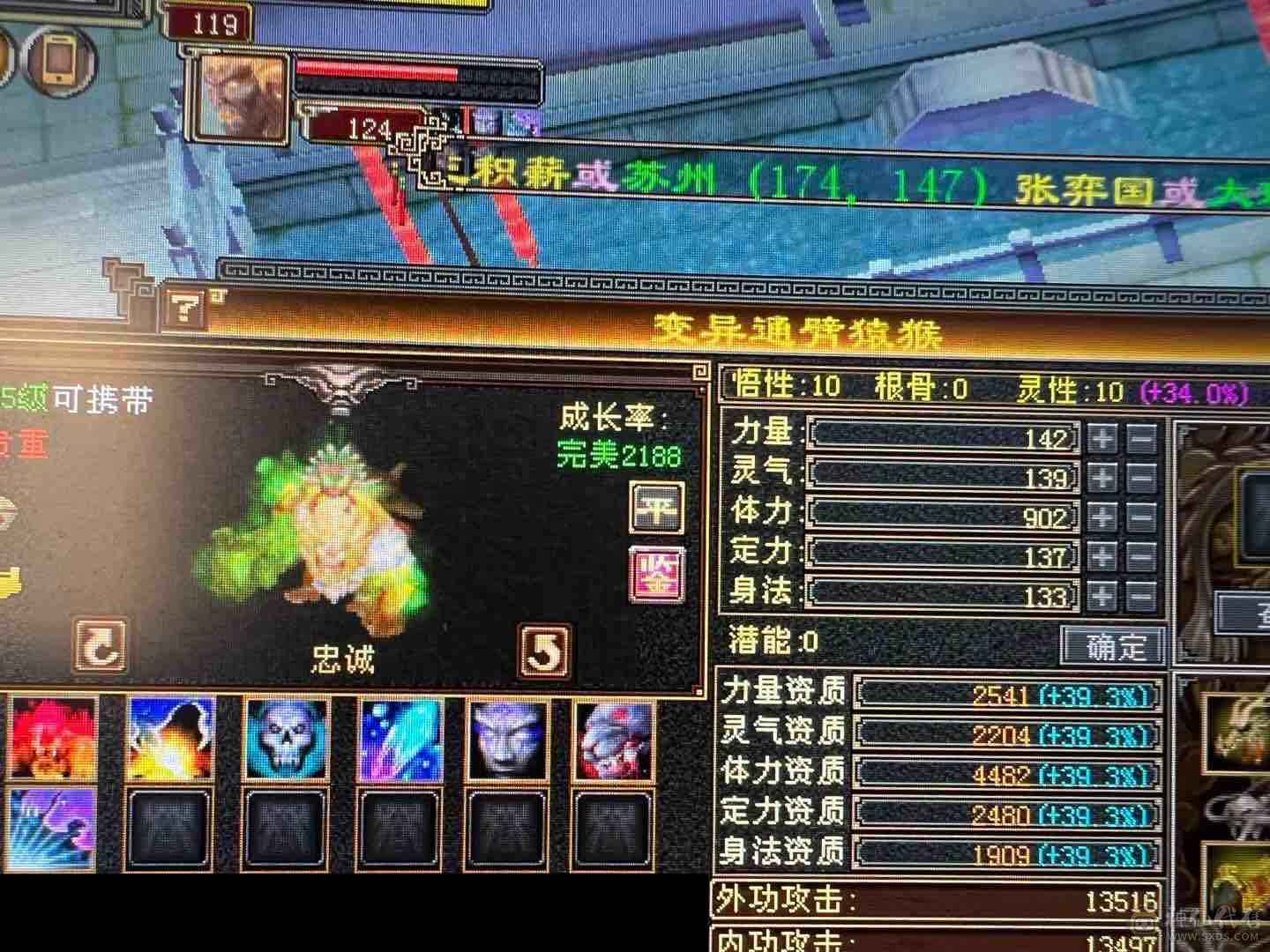 细节 5级6T   6橙神兽 暴力增伤星宿