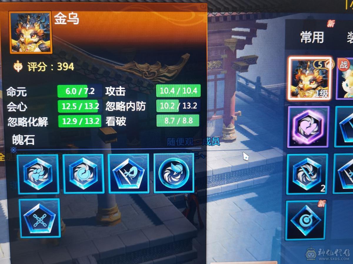 金乌极品属性