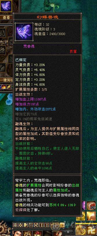 双护符8星带体身法玄毒双休底子很好20w血  2000属一直都在玩