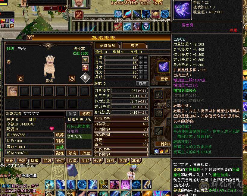 90级卡级极品武当