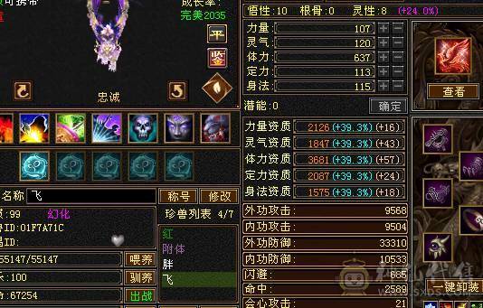 细节武当。带双十附体。4个宝宝。主要装备强化9.高内功 高会心。高属性。打人。1.3 1.4 
