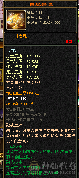 成品5级号，上手直接白嫖