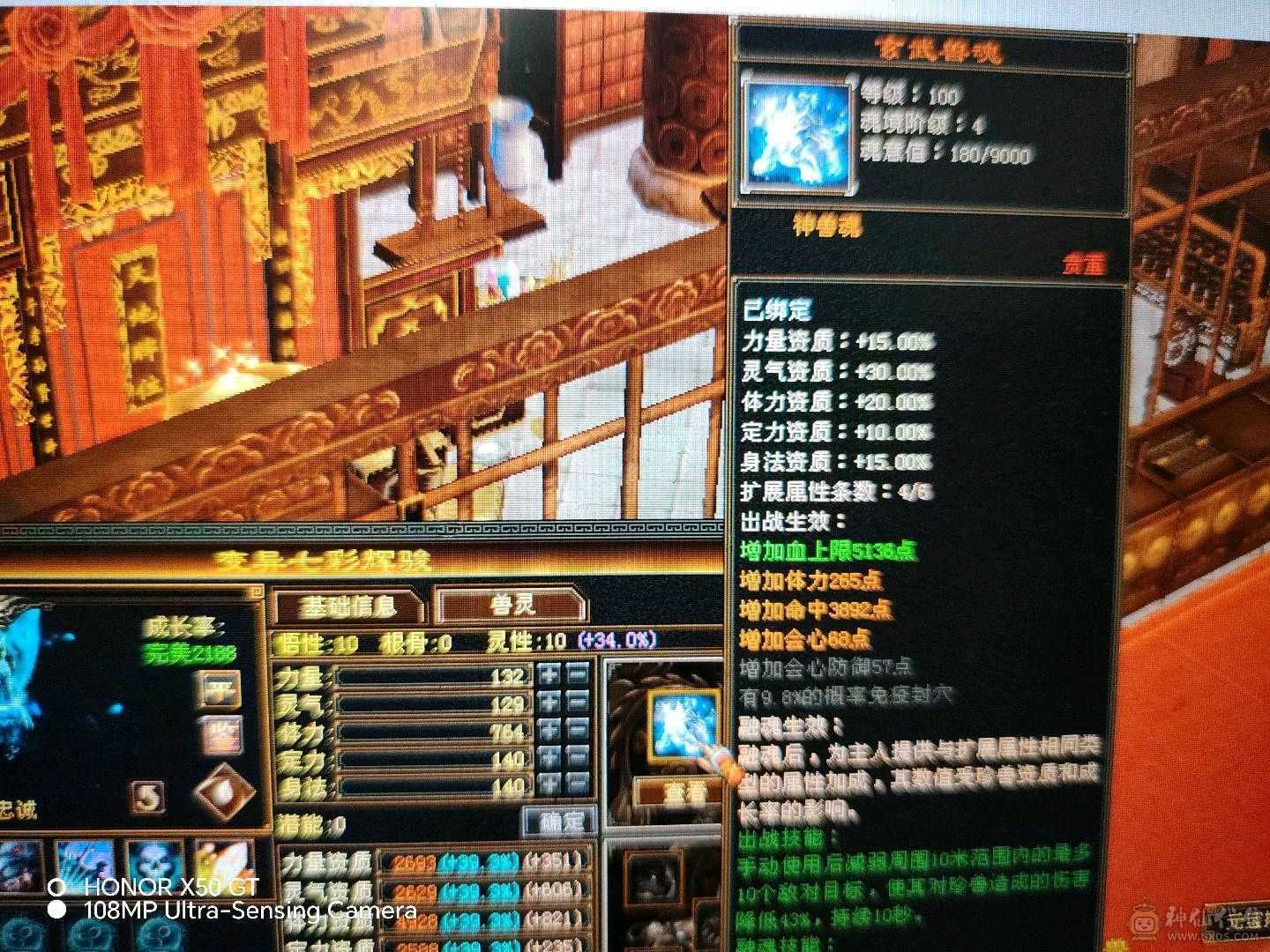 赤兔带所有
