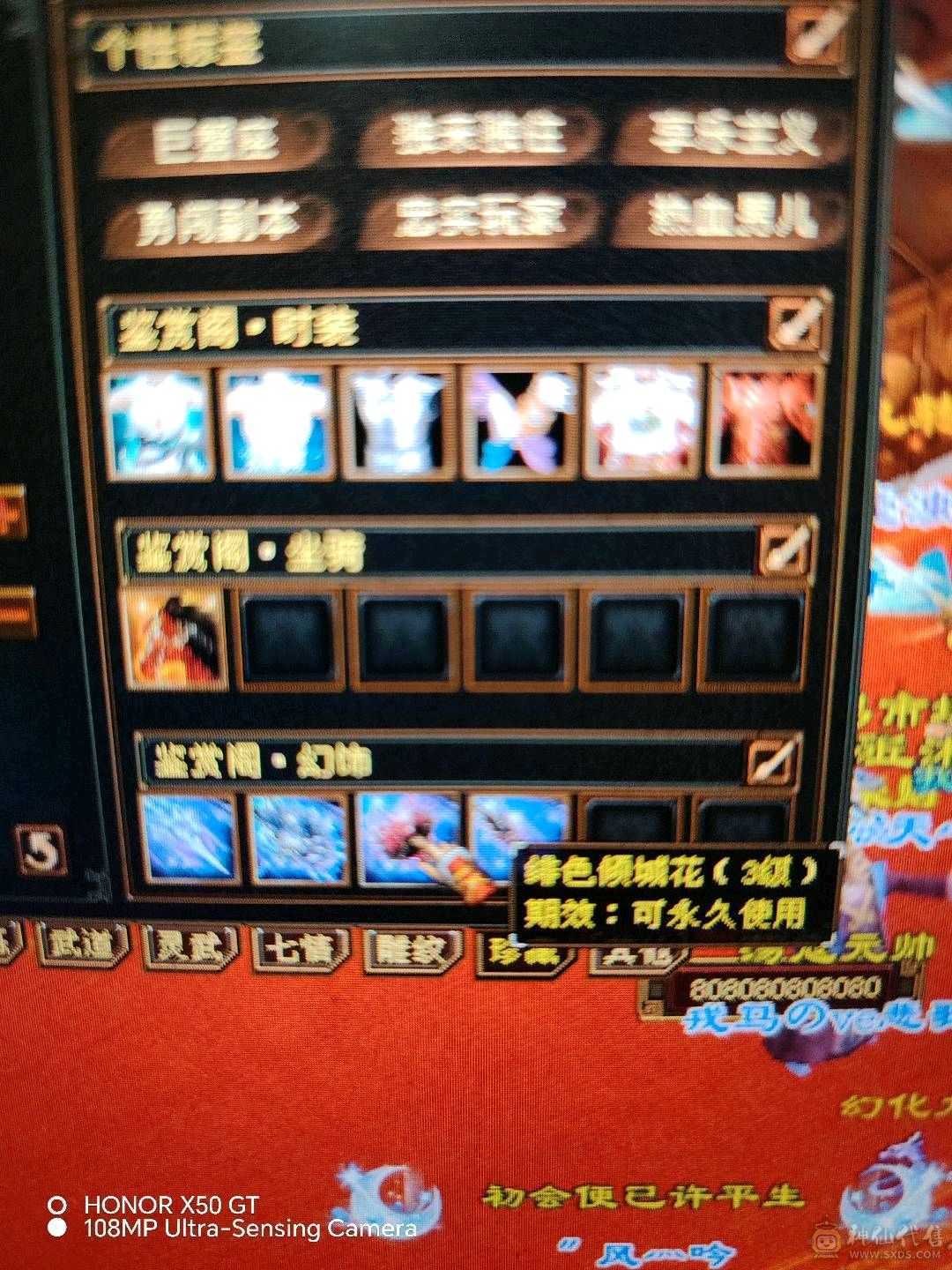 赤兔带所有