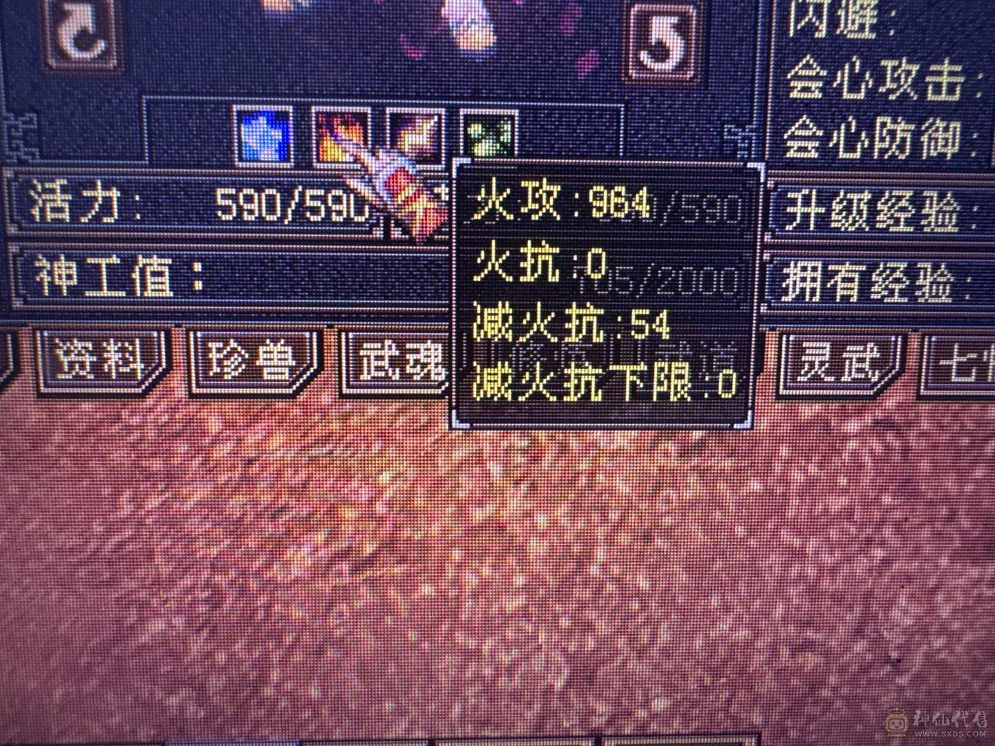 暴力天山高会心高命中三修带背饰