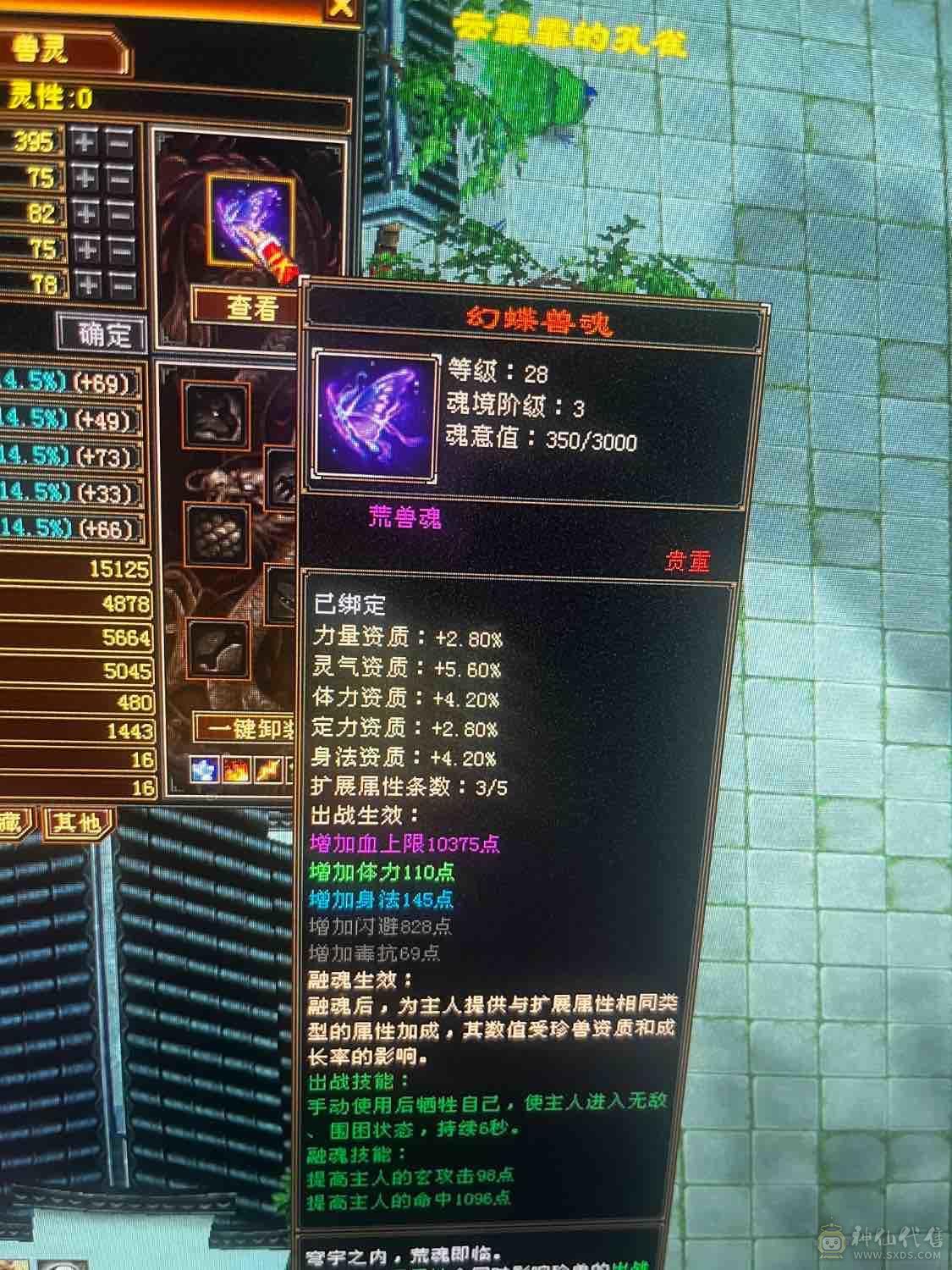 最低价秒！！！不议价，甩！