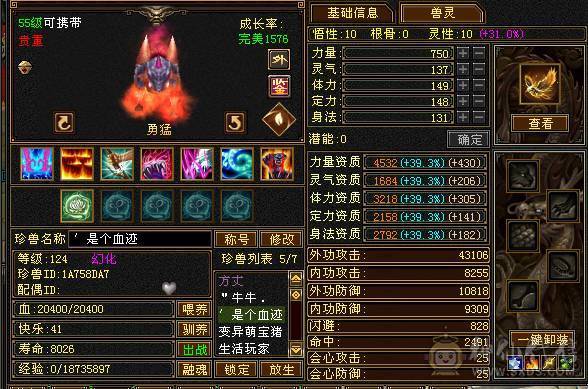 精品满五三修气武当输出暴力能打能抗