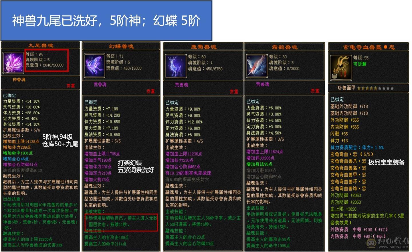 回归玩家首选：59.8W血，6体5属8雕文，5阶神细节峨嵋，实力且花瓶（更新 v.2025-08）