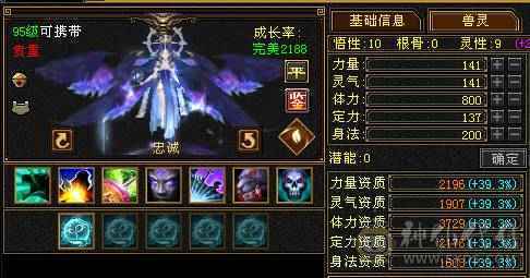 极限5级星宿