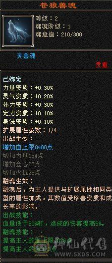 等级花瓶白号时装配饰就是几百块