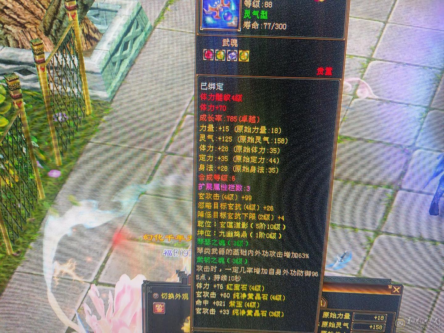 换号了  便宜甩
