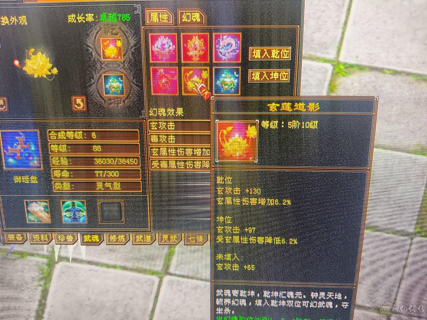 换号了  便宜甩