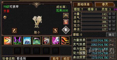 『夺命•推荐』超值5带4级-冰玄-双修副本峨眉 副属性-玄427减冰抗142火抗606 冰抗122 玄抗122 毒抗122 满状40w血 8w气 115+会心 命中1.5w 7雕-新雕文-精绘3级