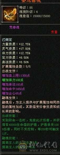 真五级号，石头才是硬道理，实时更新